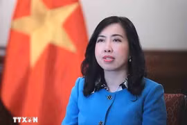 La viceministra de Relaciones Exteriores Le Thi Thu Hang (Foto: VNA)