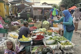 Un mercado tradicional en la isla de Lombok, Indonesia. (Foto: VNA)