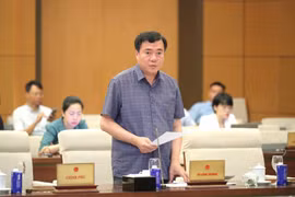 El viceministro de Industria y Comercio Nguyen Sinh Nhat Tan en la reunión. (Foto: VNA)