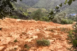 Foto de ilustración (Foto: VNA)