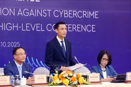 El viceministro de Relaciones Exteriores de Vietnam Dang Hoang Giang en la rueda de prensa. (Foto: VNA) 