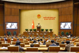 Una sesión de la Asamblea Nacional de Vietnam. (Foto: VNA)