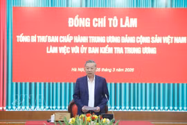 Máximo dirigente de Vietnam insta a fortalecer inspección preventiva y control del poder (Foto: VNA)