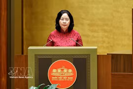 La presidenta del Frente de la Patria de Vietnam, Bui Thi Minh Hoai. (Foto: VNA)
