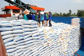 Exportaciones de arroz de Vietnam aumentan un 5% en los dos primeros meses de 2026 (Foto: VNA)
