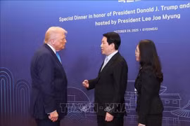 El Presidente de Vietnam, Luong Cuong, se reunió con su homólogo de Estados Unidos, Donald Trump. (Foto: VNA)