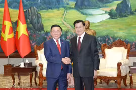 Alto dirigente partidista vietnamita se reúne con máximo líder laosiano en Vientiane