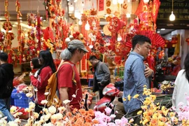 Con un feriado de nueve días por el Año Nuevo Lunar (Tet) 2026, los viajeros vietnamitas están aprovechando al máximo esta pausa para explorar destinos tanto nacionales como internacionales (Foto: VNA)