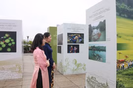 La exposición “Patrimonio Cultural Vietnamita: Vitalidad de la Tradición a la Modernidad” se inaugura en Ciudad Ho Chi Minh (Foto: VNA)