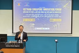 El embajador de Vietnam en Singapur, Tran Phuoc Anh. (Foto: VNA)