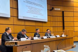 Vietnam destaca importancia del TNP en la seguridad global. (Foto: VNA)