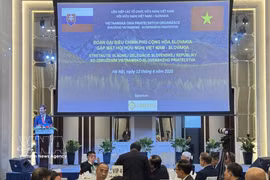 Intercambio popular fortalece los vínculos entre Vietnam y Eslovaquia