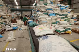 En un contexto mundial marcado por presiones económicas y riesgos crecientes, Vietnam continúa consolidándose como uno de los puntos más brillantes de Asia. (Foto: VNA)