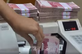 Indonesia endurece las compras de divisas para proteger la rupia (Foto: AFP/VNA)