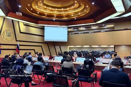 La 24ª reunión del Comité Conjunto de Cooperación ASEAN–Rusia. (Foto: VNA)