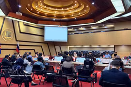 La 24ª reunión del Comité Conjunto de Cooperación ASEAN–Rusia. (Foto: VNA)