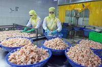 Foto de ilustración. (Foto: VNA)