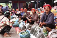 Mercado semanal único de minorías éticas en provincia de Tuyen Quang 