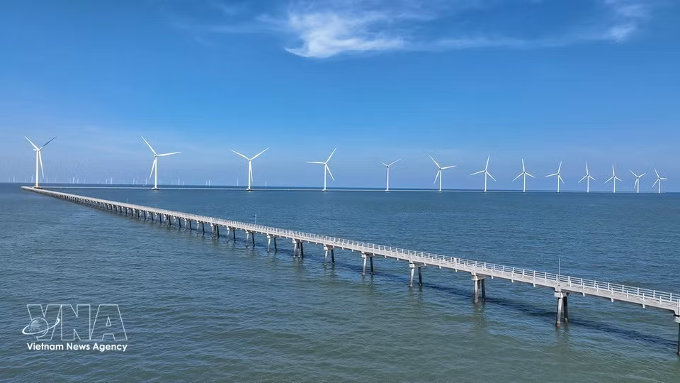 El parque eólico Hoa Binh 1 y 2, en la provincia de Ca Mau, aporta alrededor de 400 millones de kWh al año a la red eléctrica nacional, contribuyendo al suministro energético del país. (Foto: VNA)