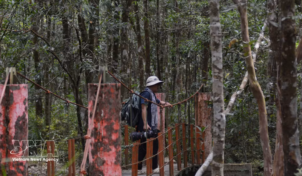 Visitantes recorren los senderos del bosque de Bach Ma para descubrir la riqueza de sus paisajes naturales. (Foto: VNA)