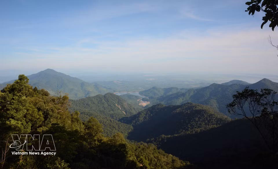 Vista del extenso y diverso ecosistema del Parque Nacional Bach Ma. (Foto: VNA)