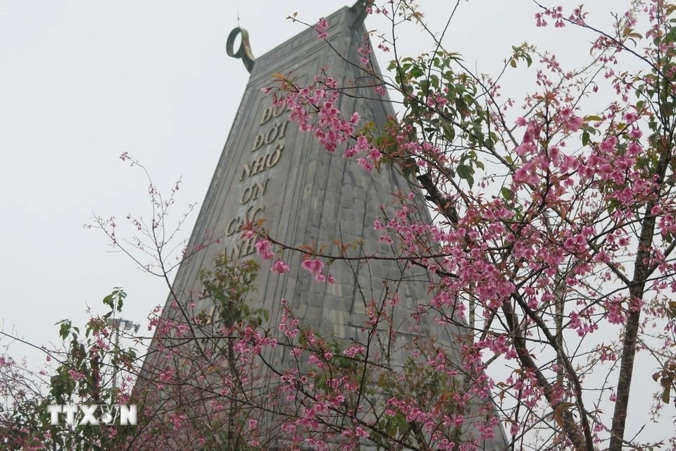 Las flores de durazno silvestre adornan el Monumento a los mártires en Mang Den. (Foto: VNA)