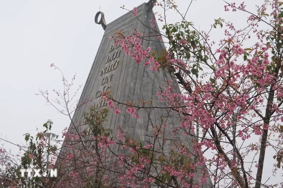 Las flores de durazno silvestre adornan el Monumento a los mártires en Mang Den. (Foto: VNA)