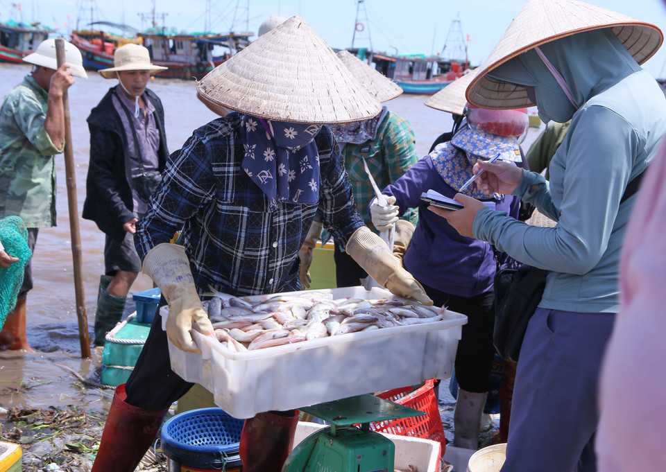 Pequeños comerciantes adquieren mariscos directamente en el mercado. (Foto: VNA)