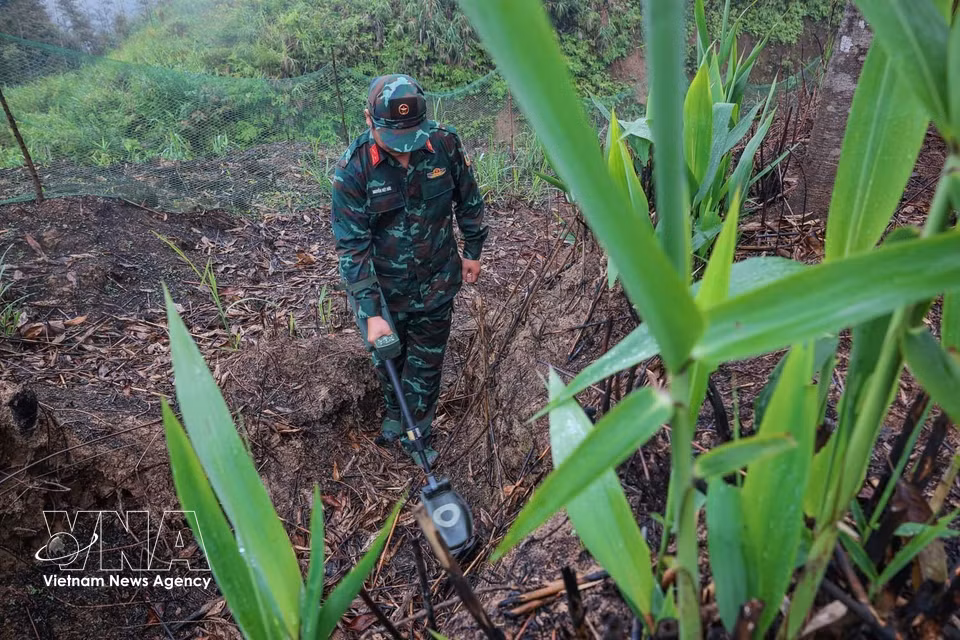 El equipo utiliza detectores para localizar y neutralizar minas y artefactos explosivos aún presentes en el área de búsqueda y recuperación de restos de mártires. Foto: VNA