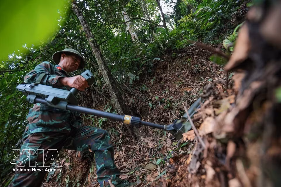 Antes de iniciar la búsqueda en una zona donde se presume la existencia de restos de mártires en la comuna de Minh Tan, el teniente mayor Le Van Quyet encabeza la exploración con detector de minas, asegurando la eliminación de artefactos explosivos. Foto: VNA