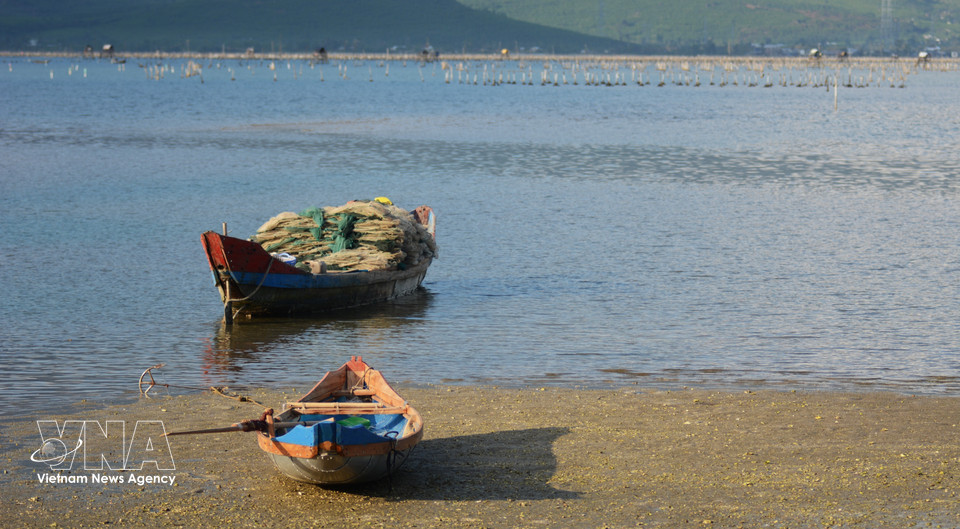 Un paisaje suave y poético se extiende sobre la vasta superficie de la laguna Lap An. (Foto: VNA)
