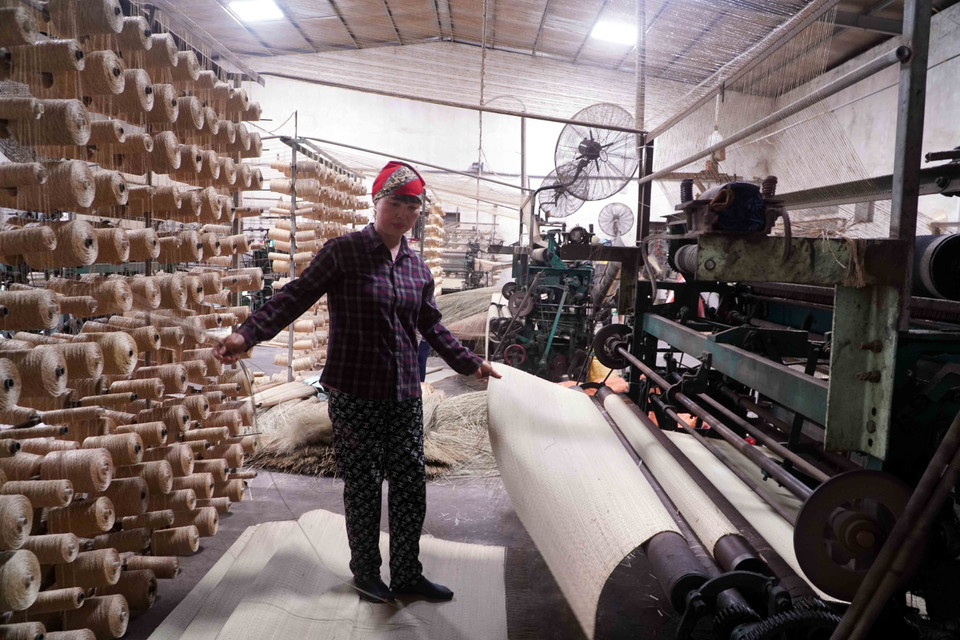 A lo largo de los años, el oficio del tejido de esteras de junco ha sabido adaptarse y mejora. (Foto: VNA)