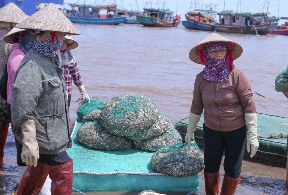 Comerciantes transportan los productos desde la costa hacia sus puntos de venta. (Foto: VNA)