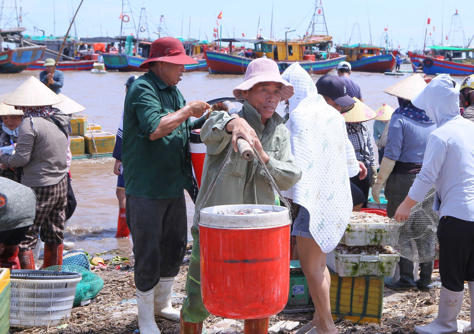 Residentes locales trasladan las cajas de mariscos recién compradas para su distribución. (Foto: VNA)