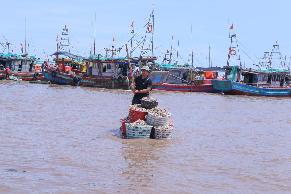 Pescadores transportan mariscos desde sus barcos hasta la orilla utilizando balsas, para luego venderlos en el mercado. (Foto: VNA)