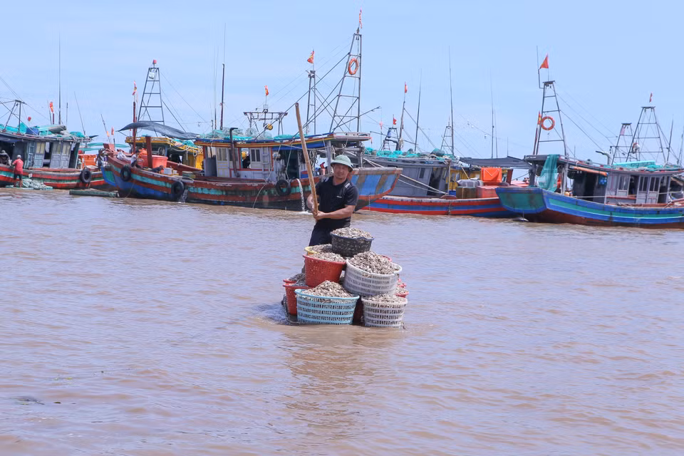 Pescadores transportan mariscos desde sus barcos hasta la orilla utilizando balsas, para luego venderlos en el mercado. (Foto: VNA)