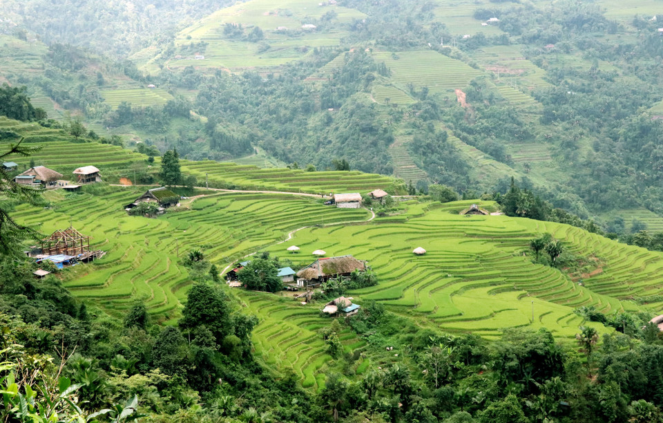 El paisaje de Thanh Thuy, donde el musgo cubre techos y el tiempo parece detenerse. (Foto: VNA)