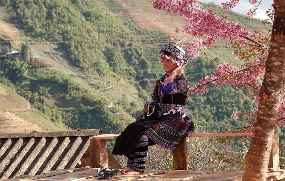 En 2026, Mu Cang Chai inaugurará el Festival Khen Mong y el Festival de la flor To Day el 3 de enero, con diversas actividades culturales y turísticas. (Foto: VNA)