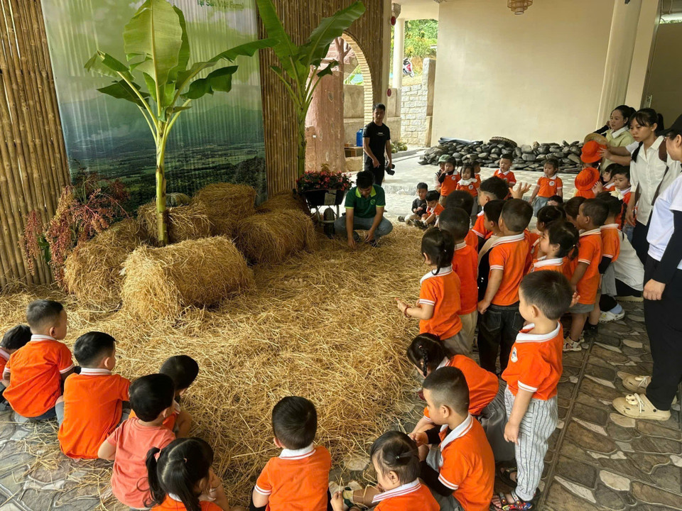 Estudiantes aprenden y exploran en granjas que integran agricultura y turismo educativo, acercándose a prácticas sostenibles. (Foto: VNA)