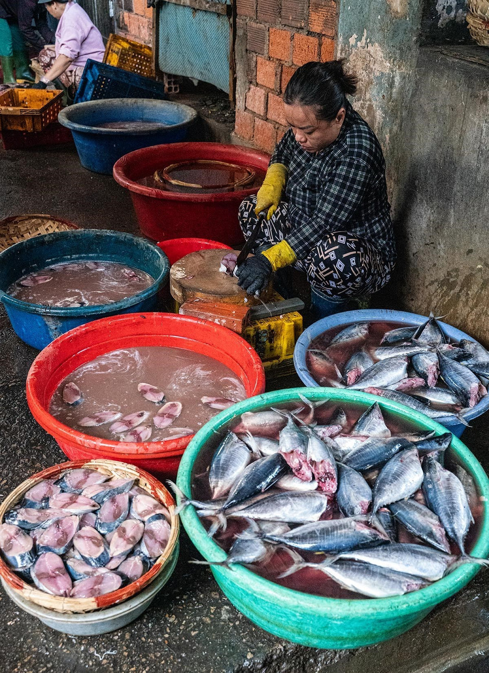 Limpieza del pescado antes de entrar al horno de vapor. (Foto: VNA)