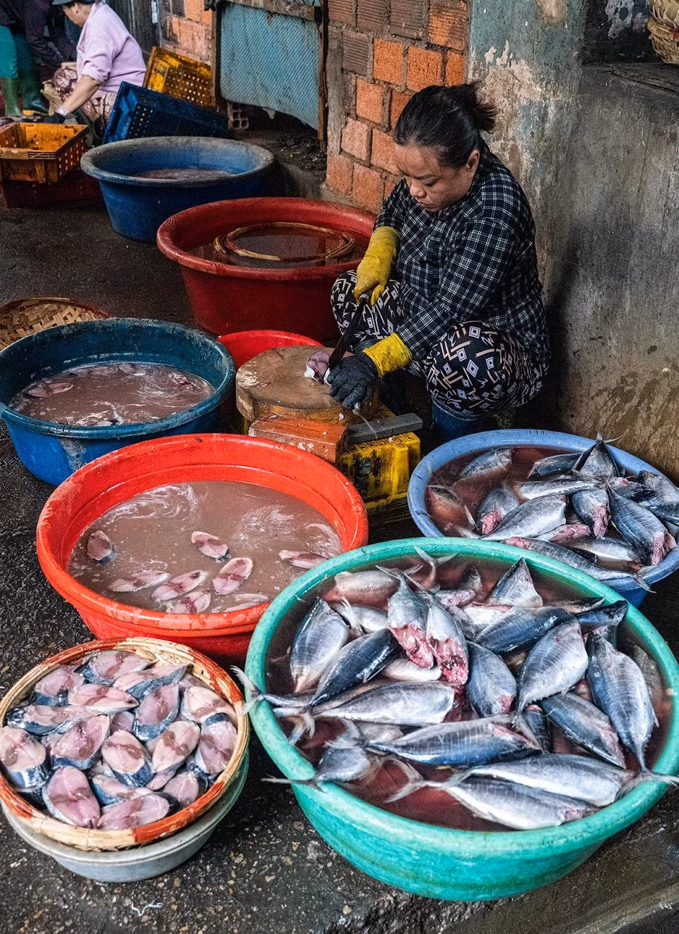 Limpieza del pescado antes de entrar al horno de vapor. (Foto: VNA)