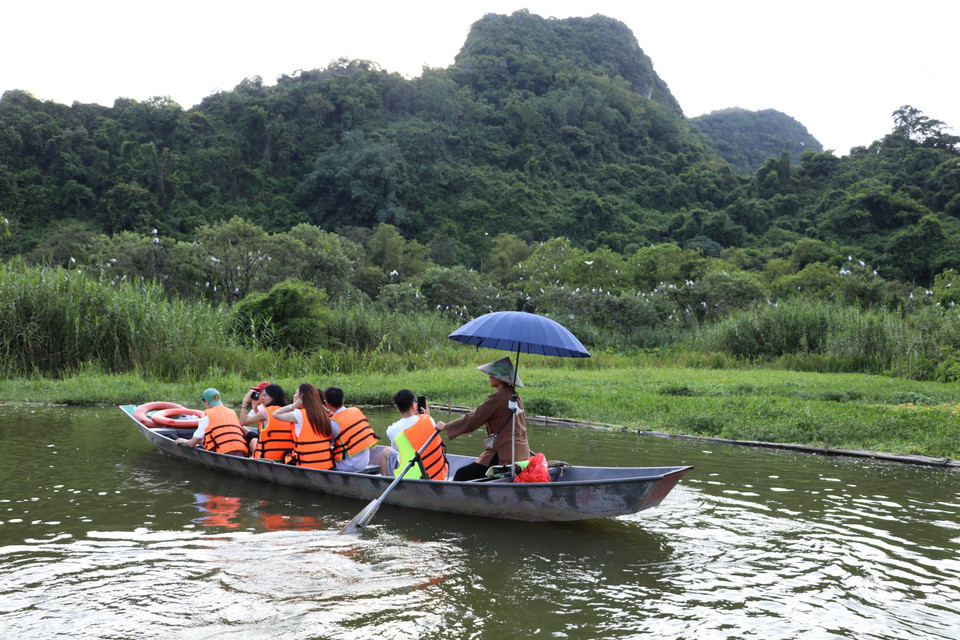 Al visitar el jardín de aves Thung Nham, en el barrio de Nam Hoa Lu, provincia de Ninh Binh, los turistas tienen la oportunidad de admirar de cerca la belleza salvaje de numerosas especies de aves. (Foto: VNA)