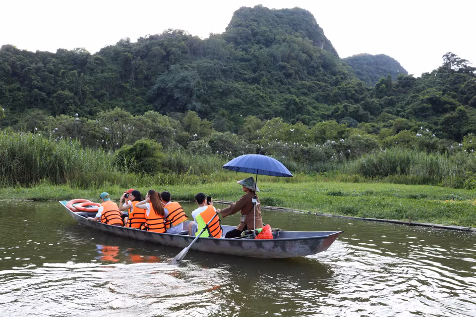 Al visitar el jardín de aves Thung Nham, en el barrio de Nam Hoa Lu, provincia de Ninh Binh, los turistas tienen la oportunidad de admirar de cerca la belleza salvaje de numerosas especies de aves. (Foto: VNA)