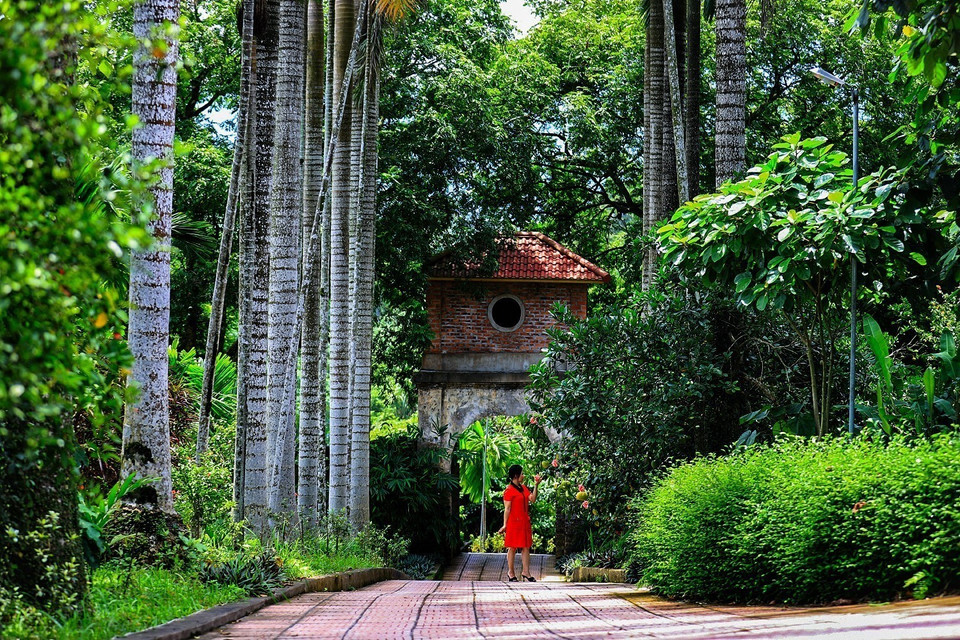 La casa ancestral de la familia Dinh Cong en la comuna Luong Son, provincia de Phu Tho, mantiene intactas sus huellas históricas. (Foto: VNA)