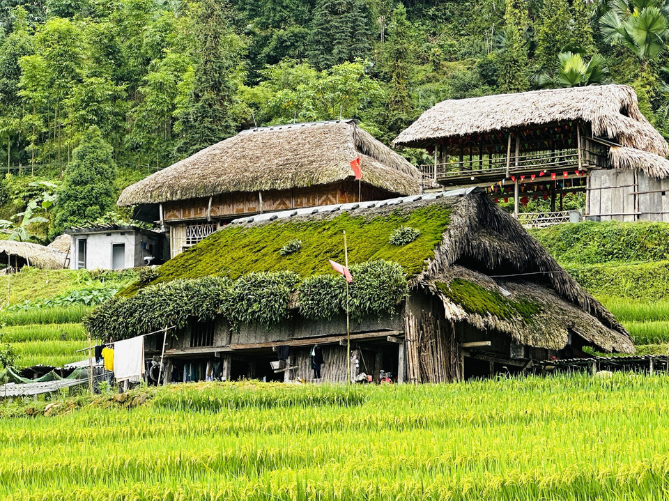 Viviendas con techos verdes de musgo se integran al paisaje montañoso de Thanh Thuy. (Foto: VNA)