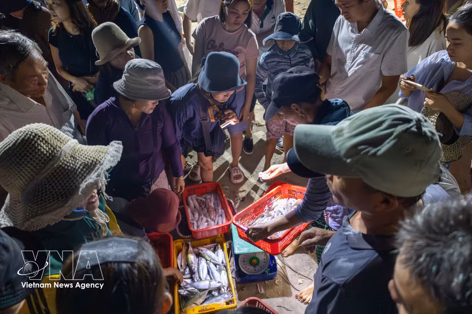 El pescado y los productos del mar se clasifican directamente en la orilla antes de ser cargados en vehículos con destino a los mercados y puntos de venta de la zona. (Foto: VNA)