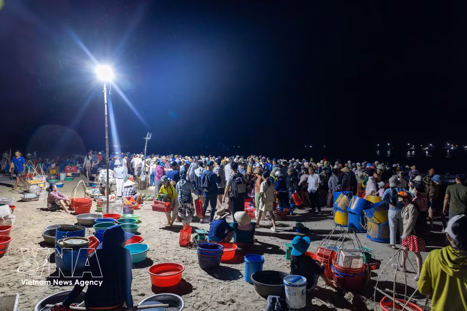 El mercado de pescado de Tam Tien se ha mantenido durante décadas y está estrechamente ligado al sustento de varias generaciones de pescadores. (Foto: VNA)