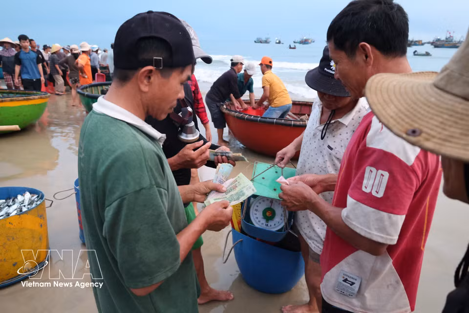 Los pescadores venden los productos del mar capturados durante cada jornada de pesca nocturna. (Foto: VNA)