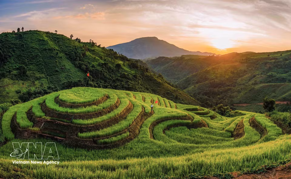 Vista panorámica de los arrozales en terrazas de la aldea Phu Long B en la comuna de Pu Nhi de la provincia de Dien Bien, que serpentean por las laderas en medio del paisaje montañoso de la región septentrional. Foto: VNA
