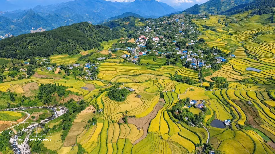 Vista de los arrozales en terrazas de Ta Leng, en la provincia de Lai Chau, durante la temporada de maduración del arroz. Foto: VNA